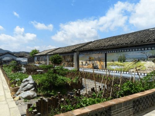 全國政協提案調研組高度肯定我縣農村房屋建筑風貌管控與程控成效